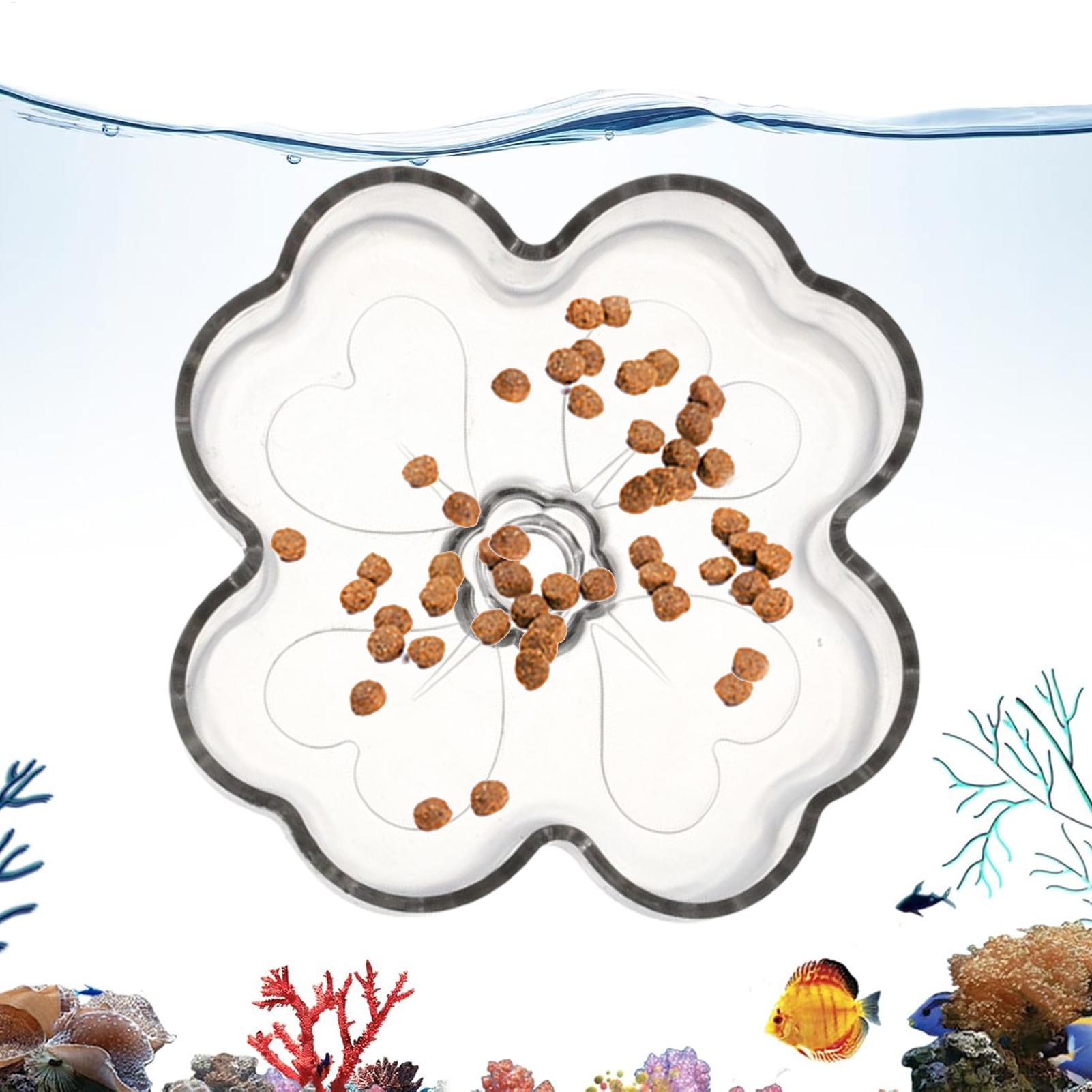Aquarium Feeder Tray Suction C - Tetra Fish In Aquarium recensione e prezzo