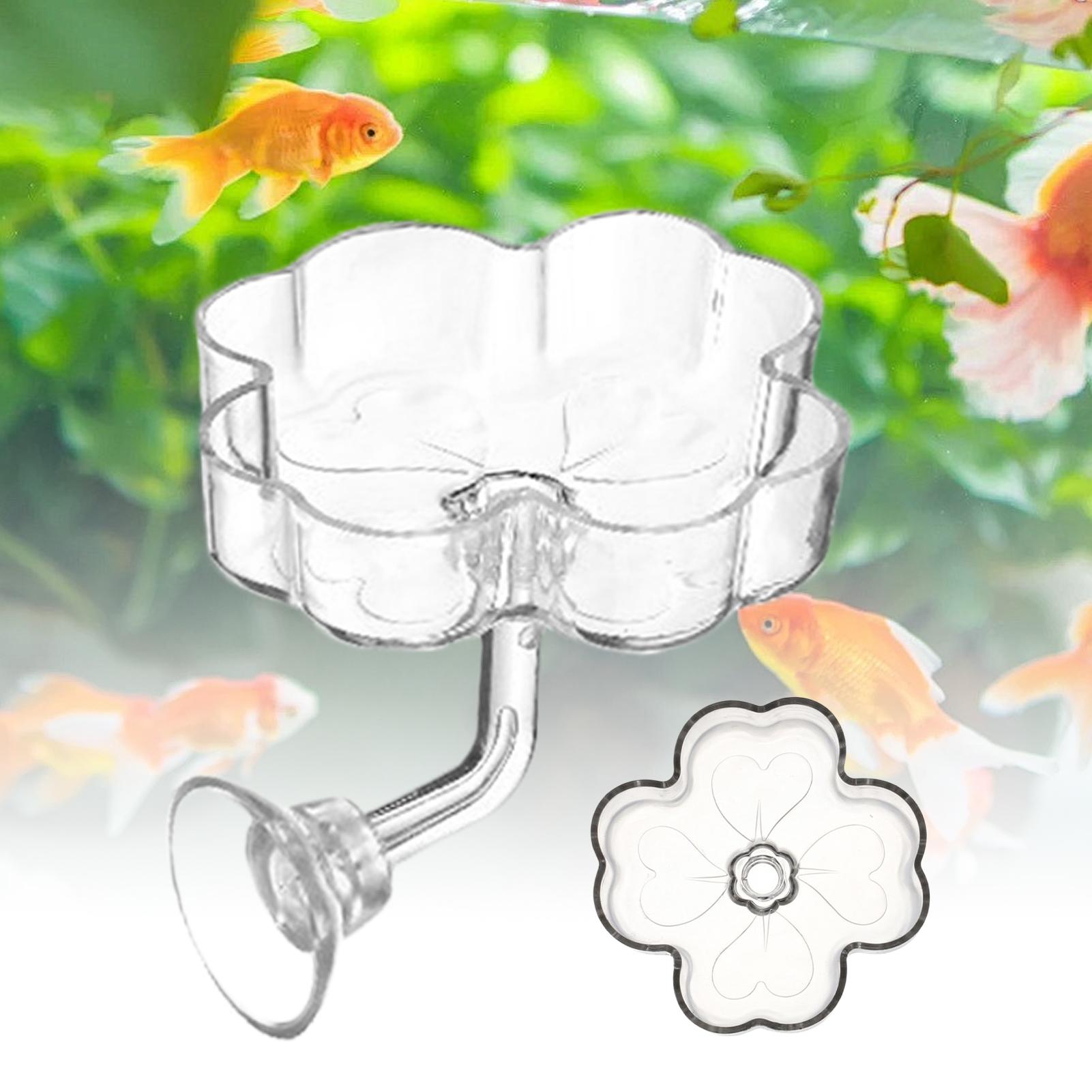 Aquarium Feeder Tray Suction C - Tetra Fish In Aquarium recensione e prezzo