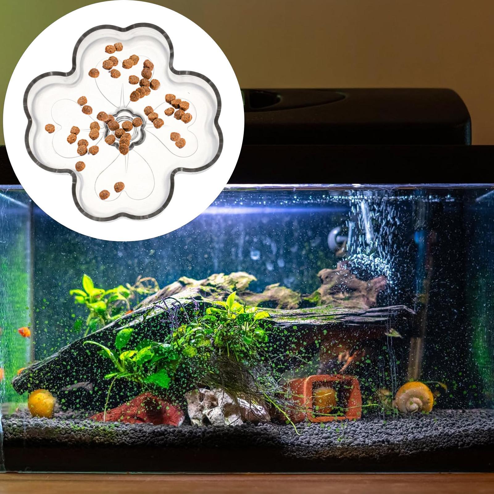 Aquarium Feeder Tray Suction C - Tetra Fish In Aquarium recensione e prezzo