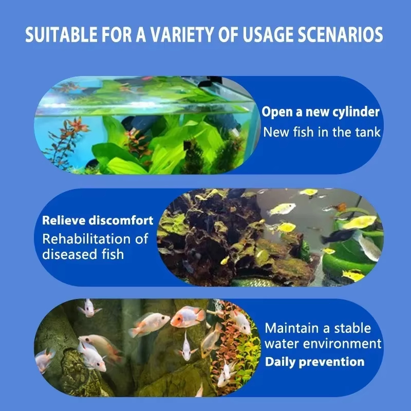SIKEZHAN Fish Disease Treatmen - Aquarium Fish Quality recensione e prezzo
