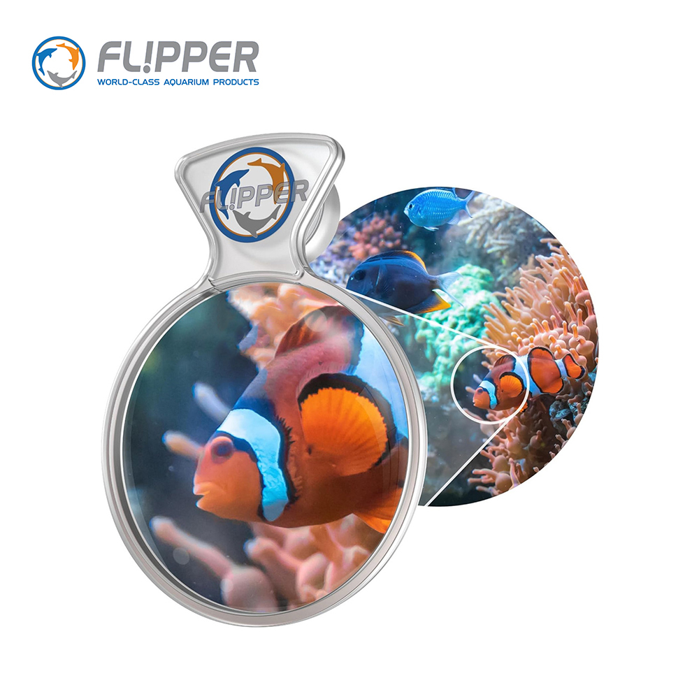 Flipper DeepSee Glass Acrylic  - Aquarium Fish Freshwater recensione e prezzo