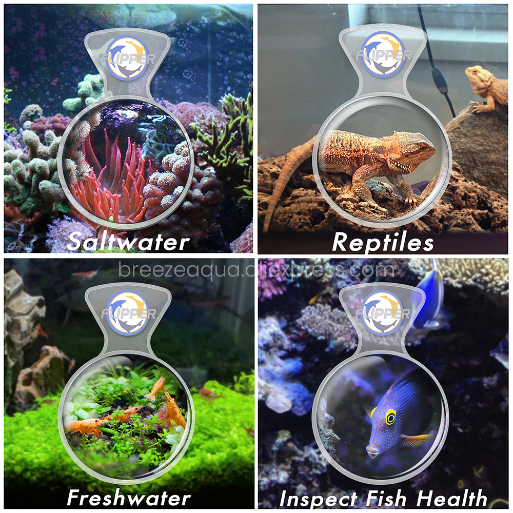 Flipper DeepSee Glass Acrylic  - Aquarium Fish Freshwater recensione e prezzo