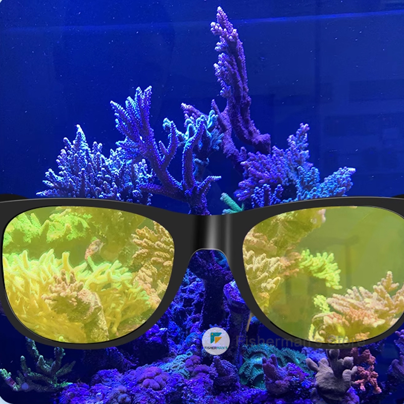 Redsea ReefView Coral Viewing  - Aquarium Fish Photography recensione e prezzo