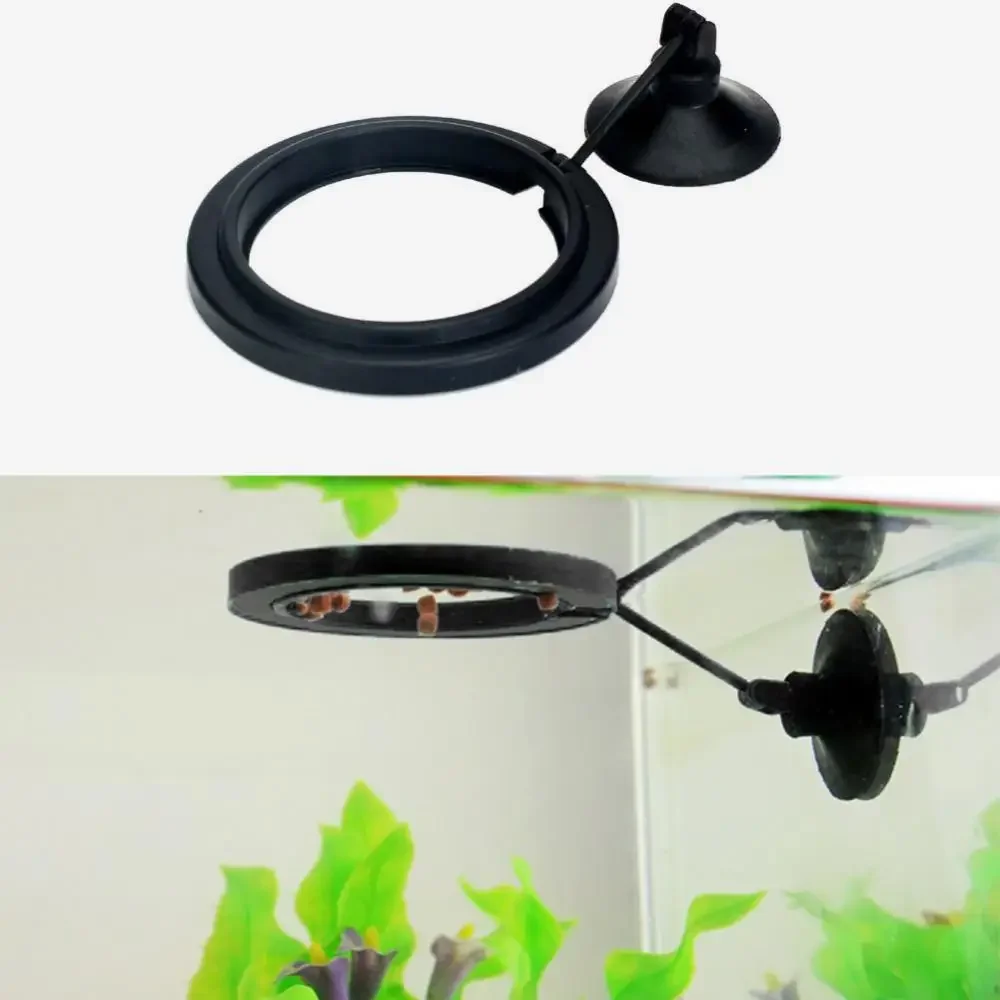 Feed Suction Cup Aquarium Feed - Aquarium Fish To Buy recensione e prezzo