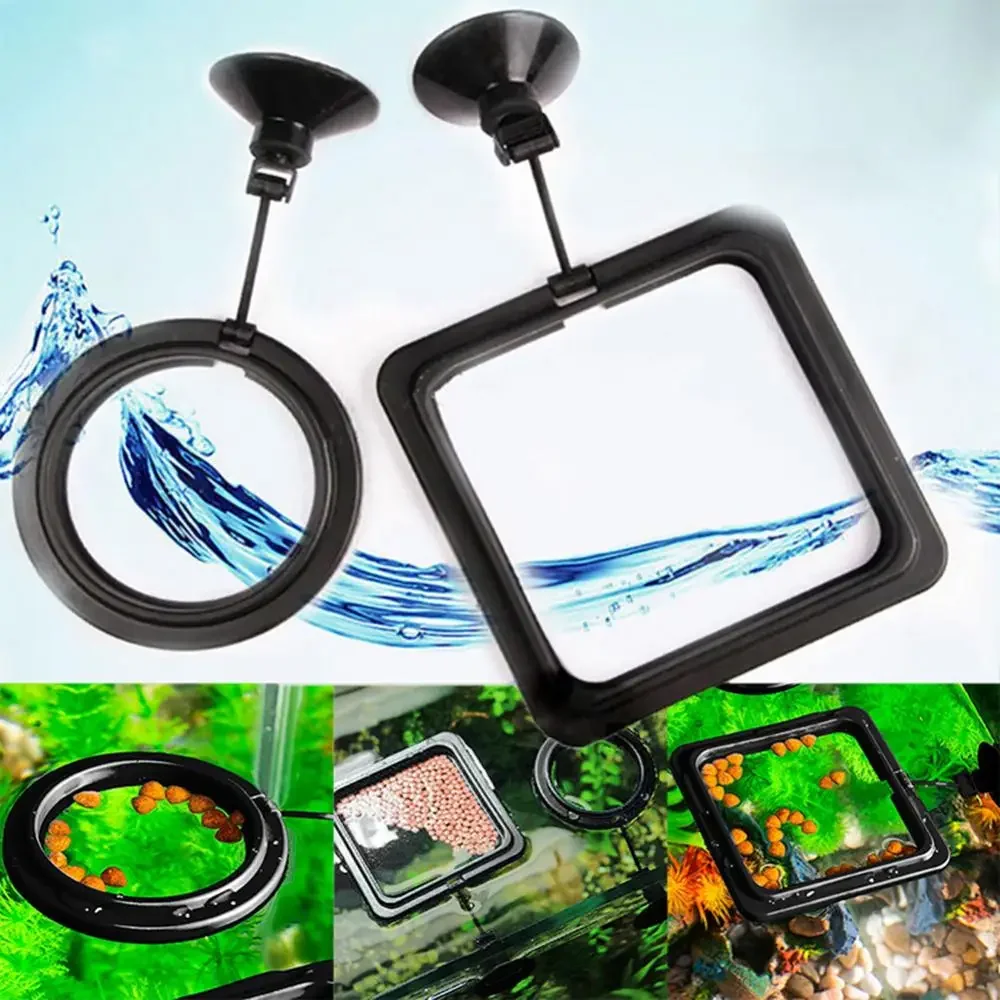 Feed Suction Cup Aquarium Feed - Aquarium Fish To Buy recensione e prezzo