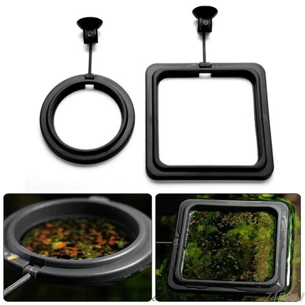 Feed Suction Cup Aquarium Feed - Aquarium Fish To Buy recensione e prezzo