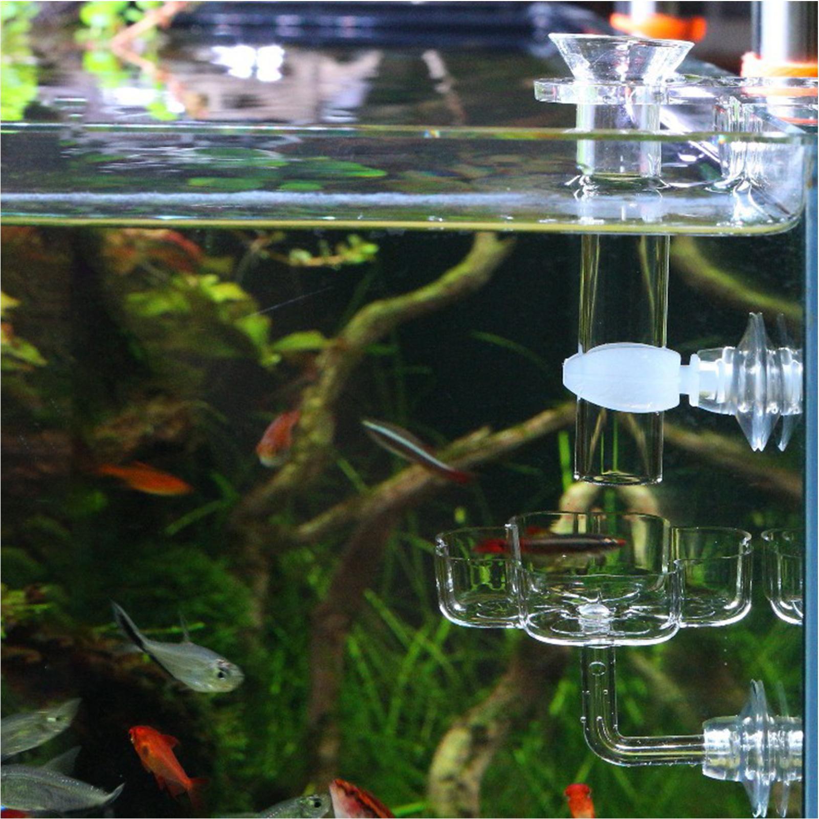 Aquarium Feeder Suction Cup Fl - Tetra Fish In Aquarium recensione e prezzo