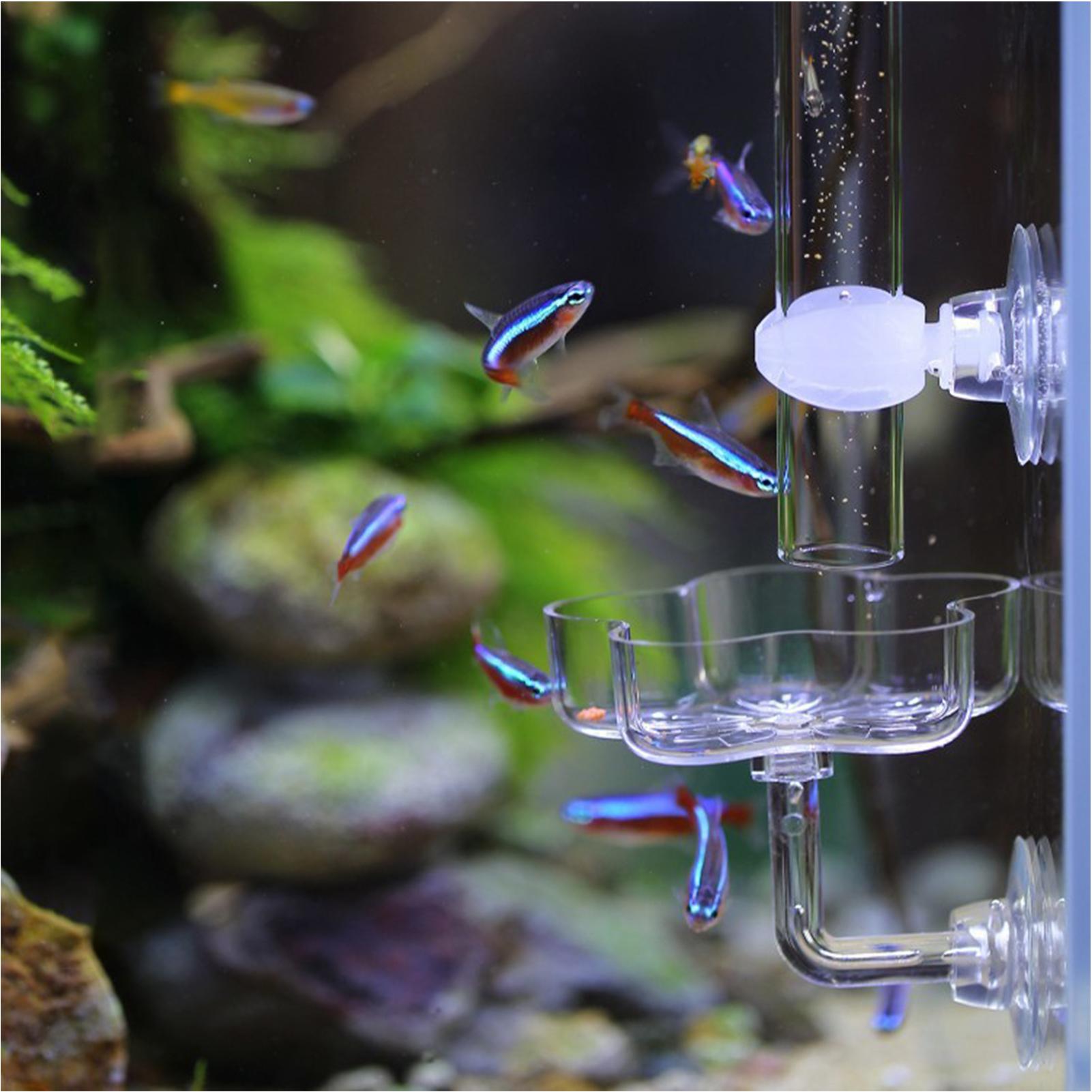 Aquarium Feeder Suction Cup Fl - Tetra Fish In Aquarium recensione e prezzo