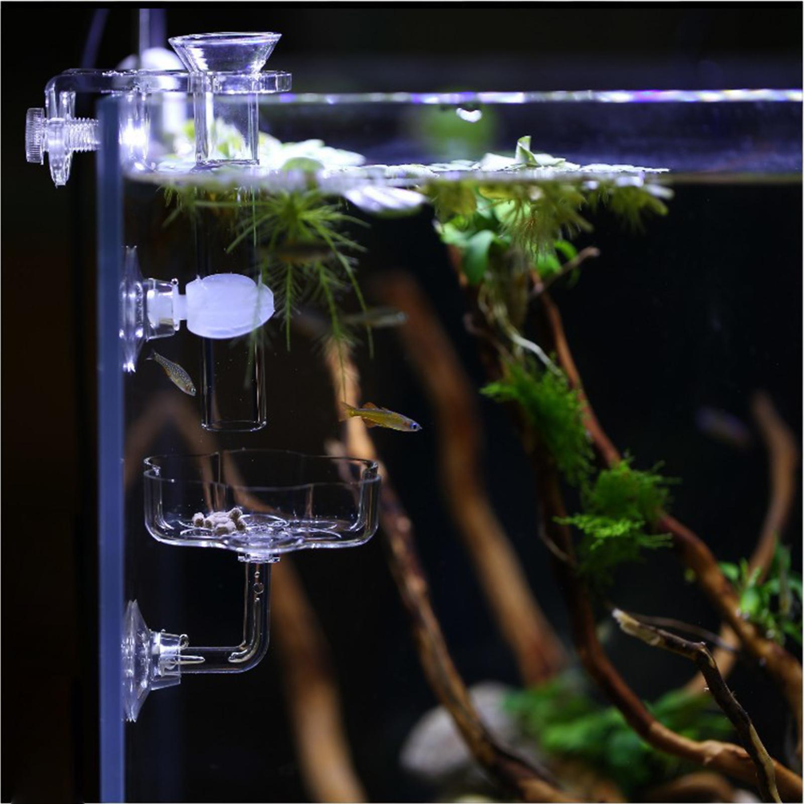 Aquarium Feeder Suction Cup Fl - Tetra Fish In Aquarium recensione e prezzo