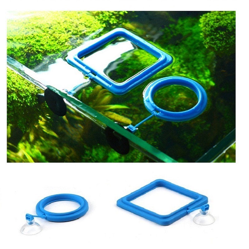 Fish Feeding Ring Feeder Fishi - Tetra Fish In Aquarium recensione e prezzo