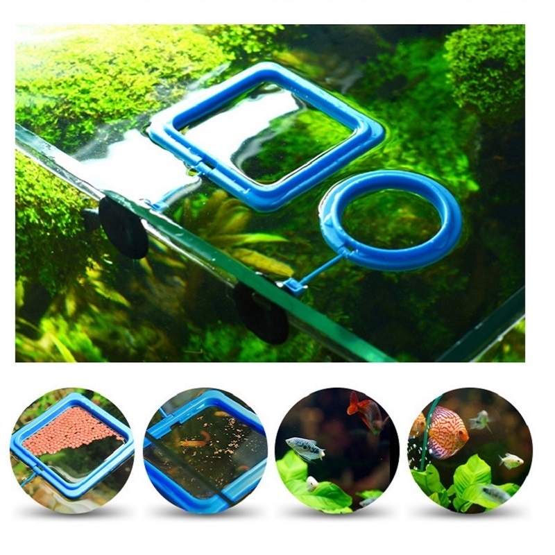 Fish Feeding Ring Feeder Fishi - Tetra Fish In Aquarium recensione e prezzo