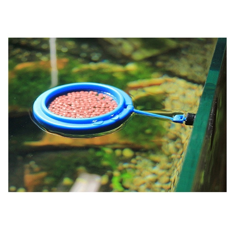 Fish Feeding Ring Feeder Fishi - Tetra Fish In Aquarium recensione e prezzo