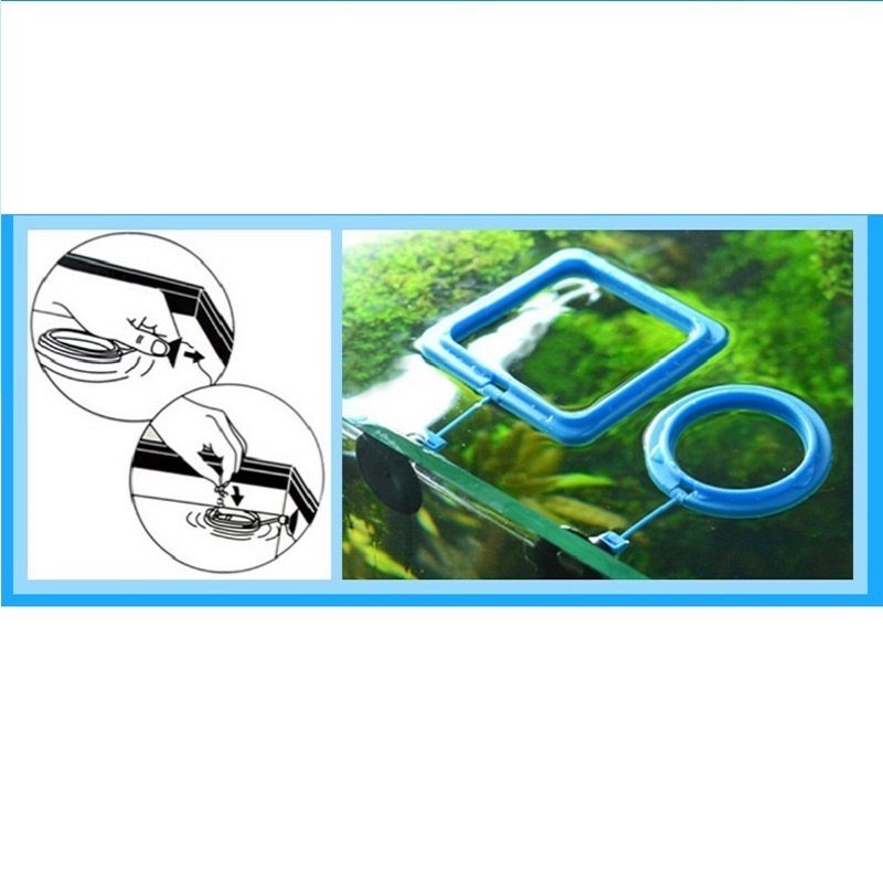 Fish Feeding Ring Feeder Fishi - Tetra Fish In Aquarium recensione e prezzo