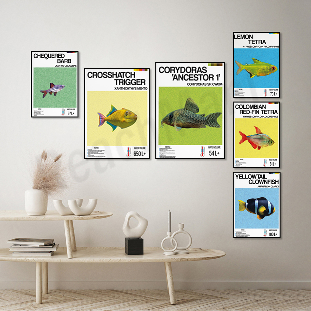 Aquarium, yellow tail clownfis - Tetra Fish In Aquarium recensione e prezzo
