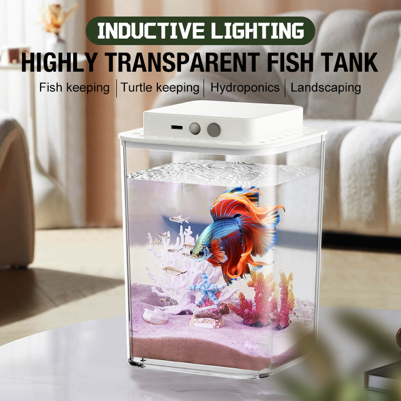 Desktop fish tank, new aquariu - Aquarium Fish For Beginners recensione e prezzo
