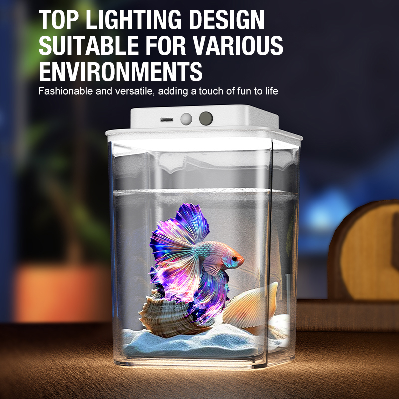 Desktop fish tank, new aquariu - Aquarium Fish For Beginners recensione e prezzo
