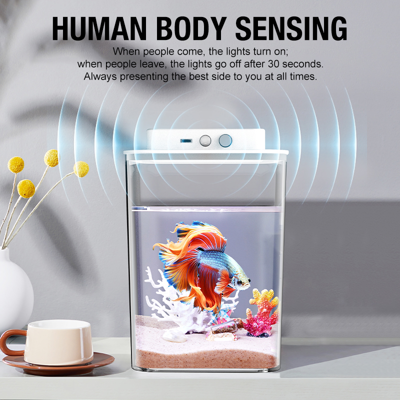 Desktop fish tank, new aquariu - Aquarium Fish For Beginners recensione e prezzo