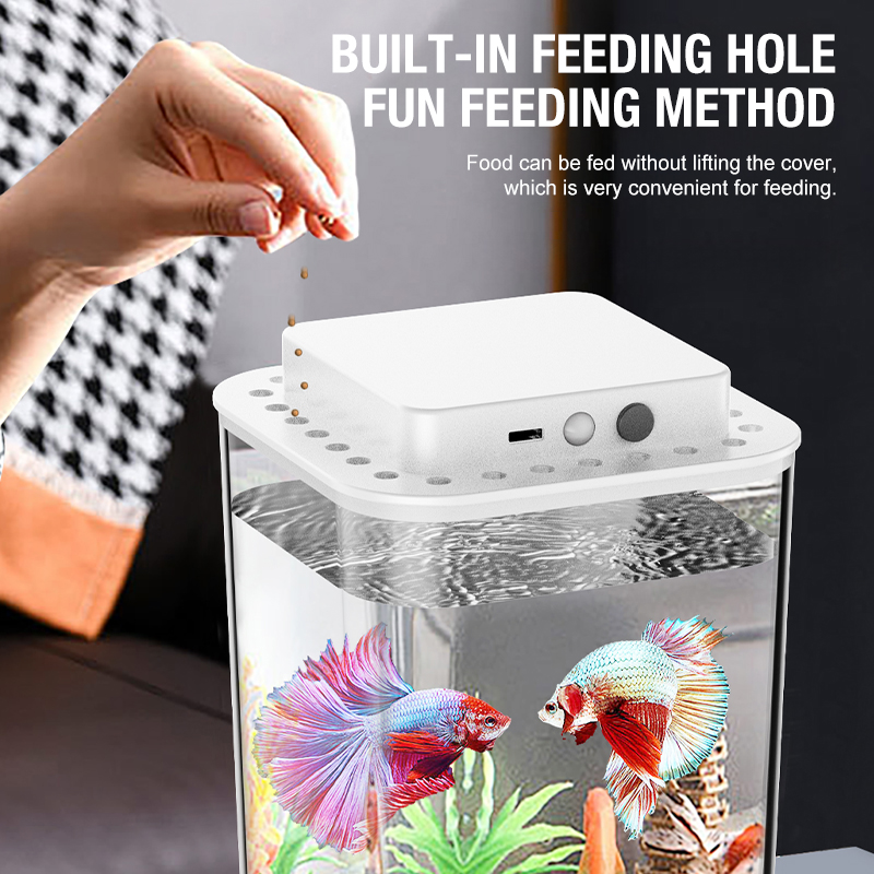 Desktop fish tank, new aquariu - Aquarium Fish For Beginners recensione e prezzo