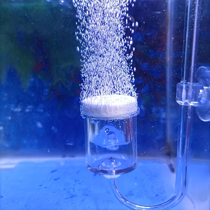 Aquarium Glass CO2 Atomizer Di - Co2 Diffuser Planted recensione e prezzo