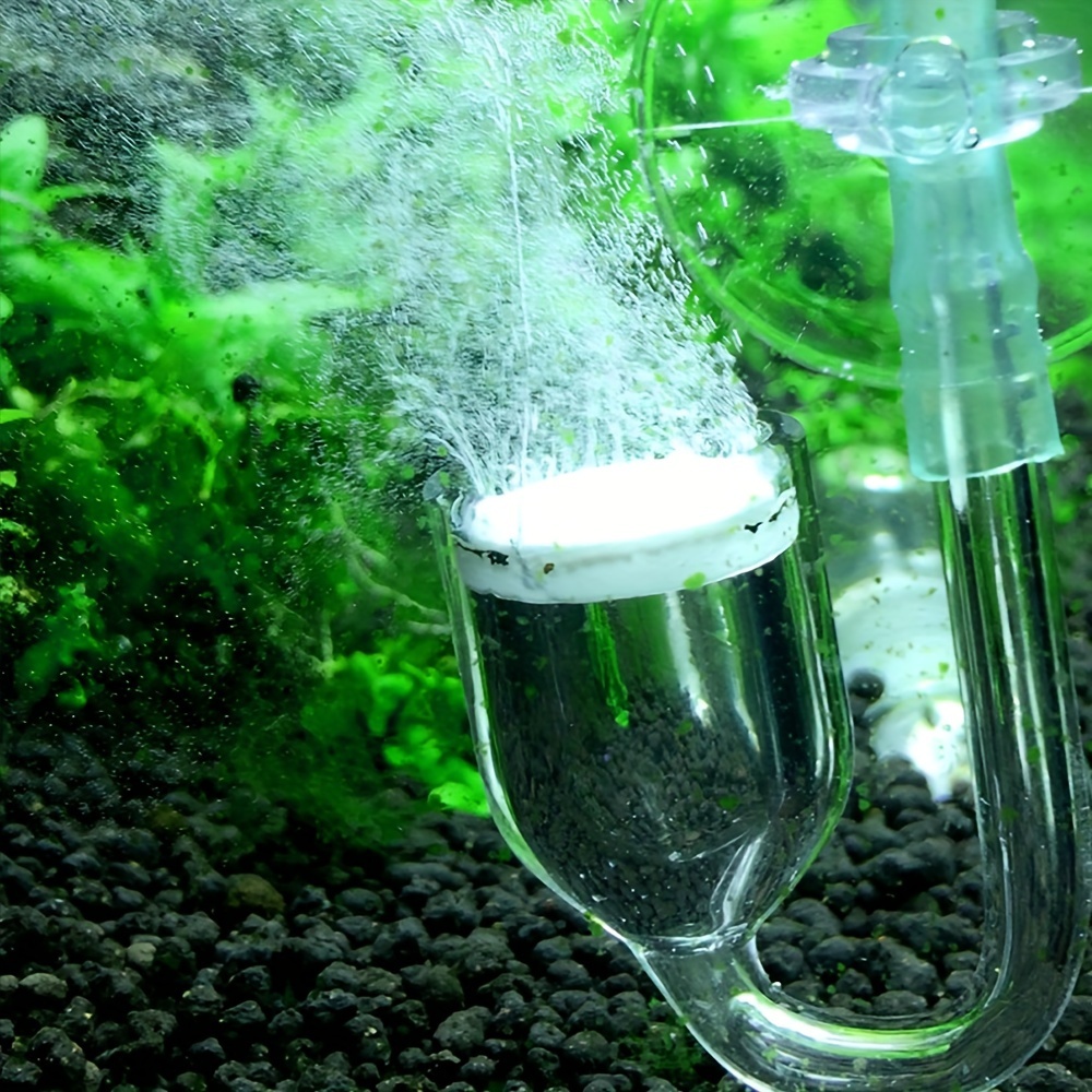 Aquarium Glass CO2 Atomizer Di - Co2 Diffuser Planted recensione e prezzo