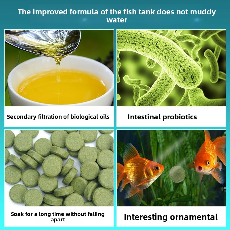 cmomo Tropical Fish Food Stick - Tetra Fish In Aquarium recensione e prezzo