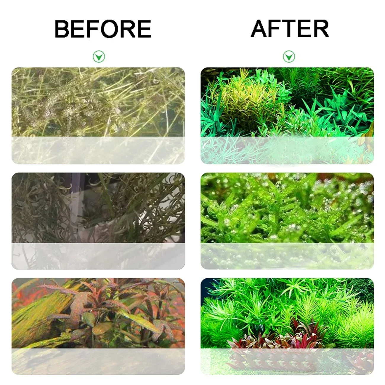 Aquarium CO2 Generator 2L DIY  - Aquarium Fish Photography recensione e prezzo