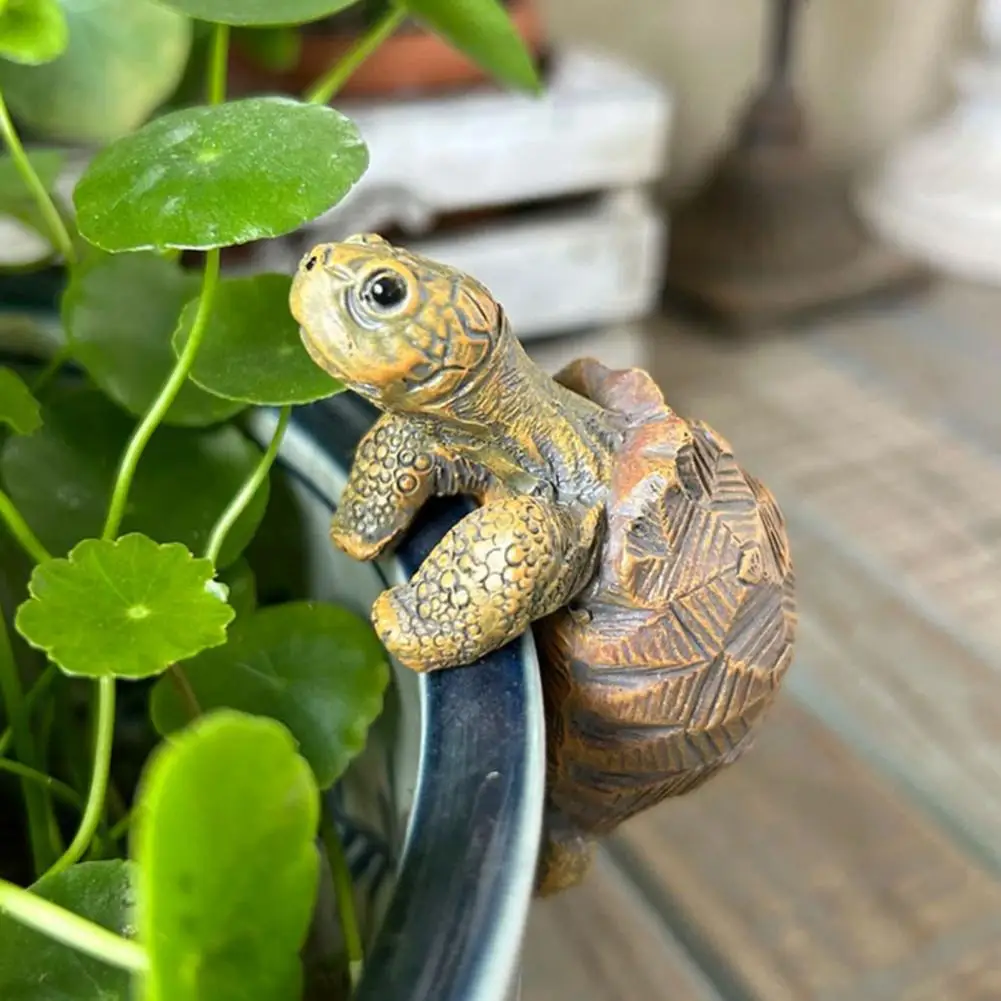 Fishing Turtle Hanging Turtle  - Aquarium Fish Photography recensione e prezzo