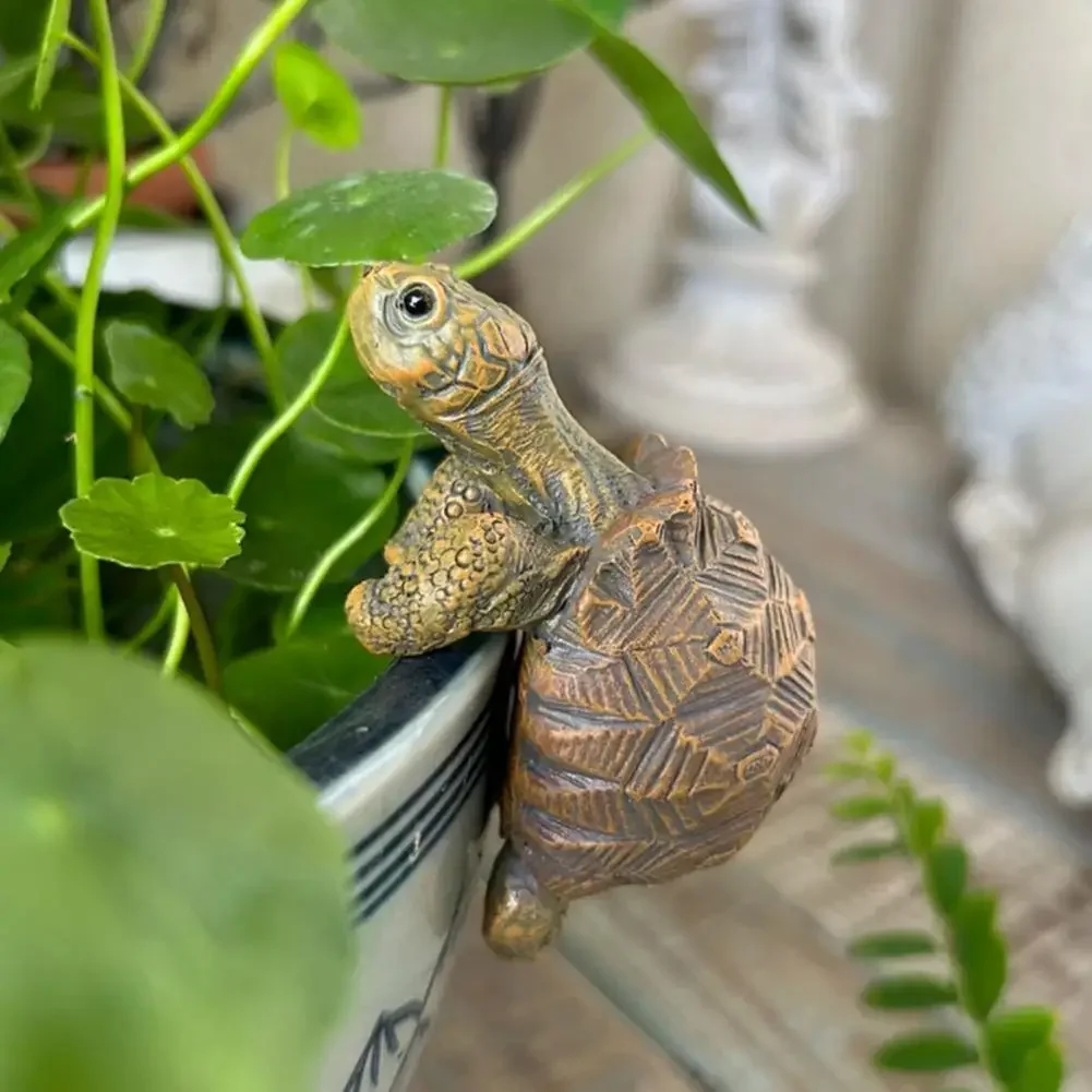 Fishing Turtle Hanging Turtle  - Aquarium Fish Photography recensione e prezzo