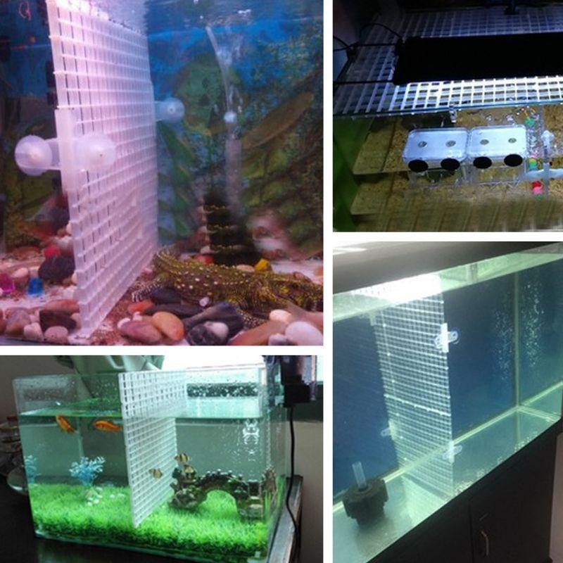 Aquarium Bottom Plate Fish for - Aquarium Fish Sale recensione e prezzo