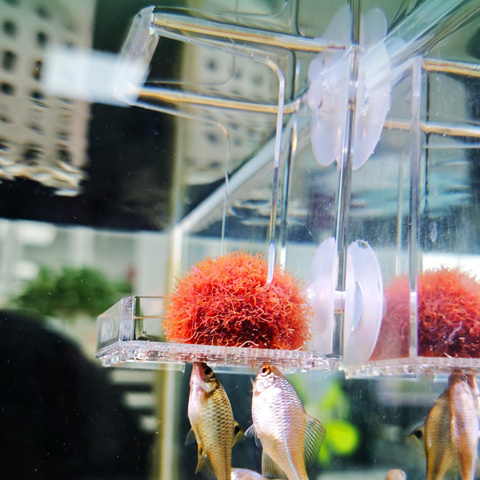 Aquarium Feeder Suction Cup Aq - Tetra Fish In Aquarium recensione e prezzo