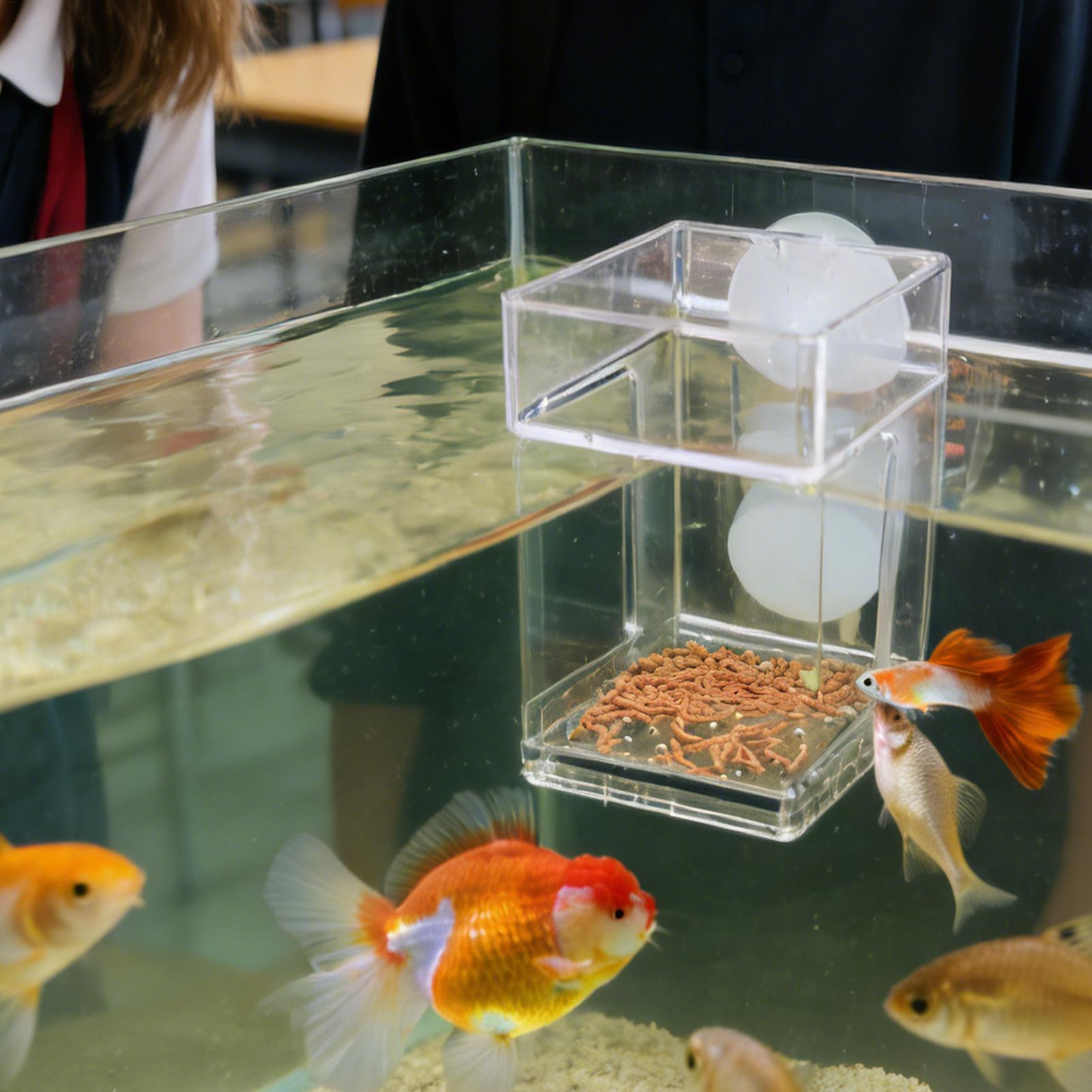 Aquarium Feeder Suction Cup Aq - Tetra Fish In Aquarium recensione e prezzo