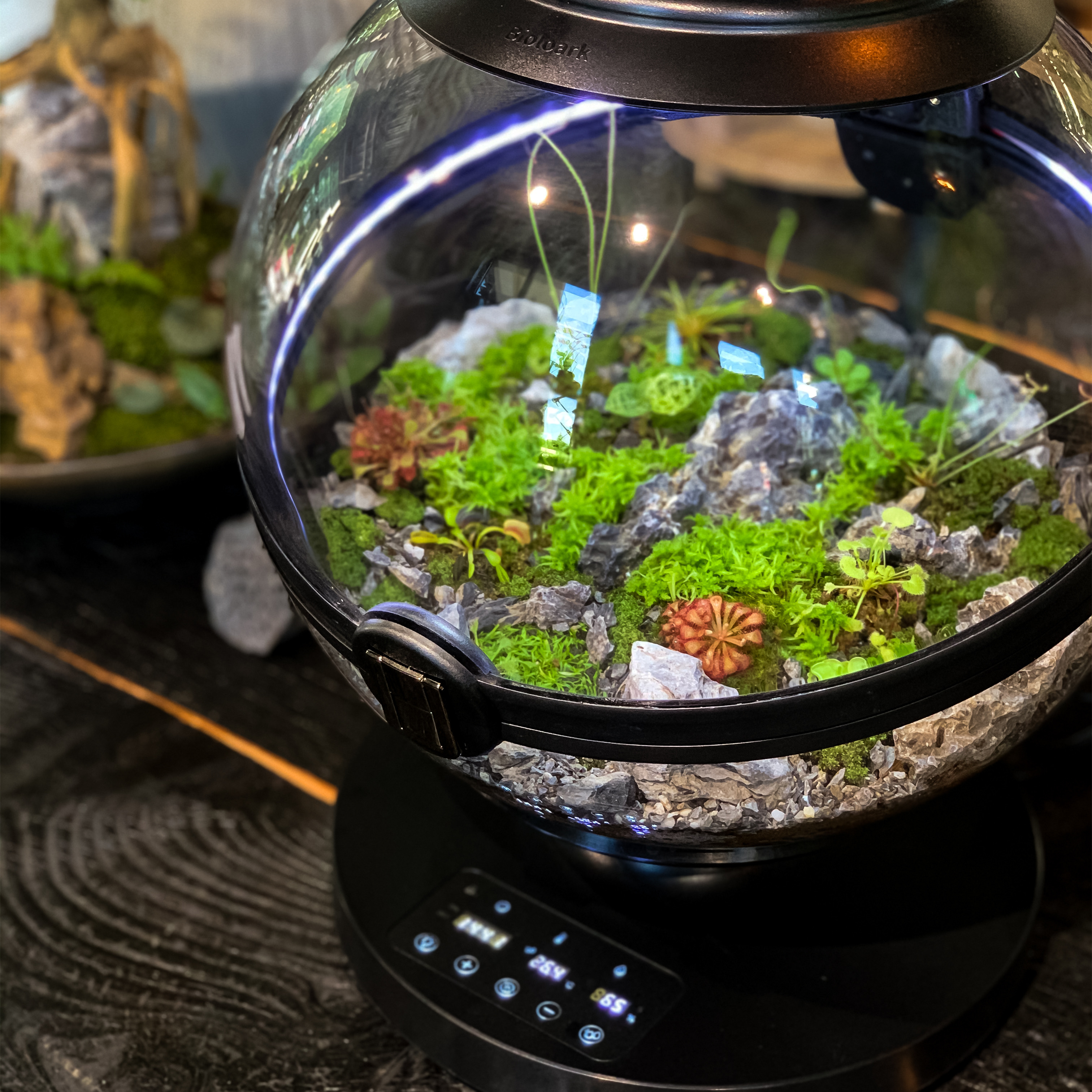 Hot Sales Acrylic Material  Ba - Aquarium Fish Sale recensione e prezzo