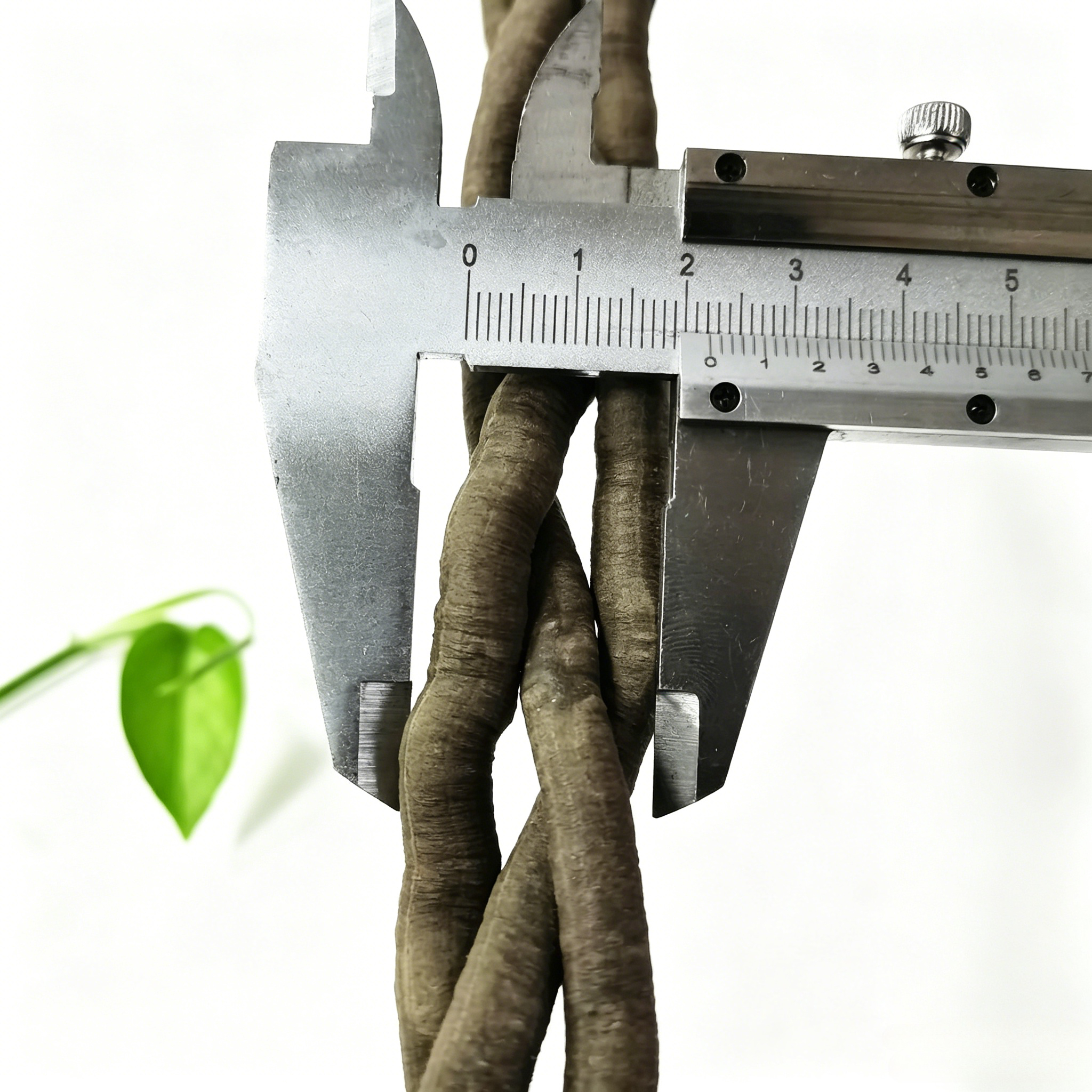100cm Artificial Vine Fake Pla - Aquarium Fish To Buy recensione e prezzo