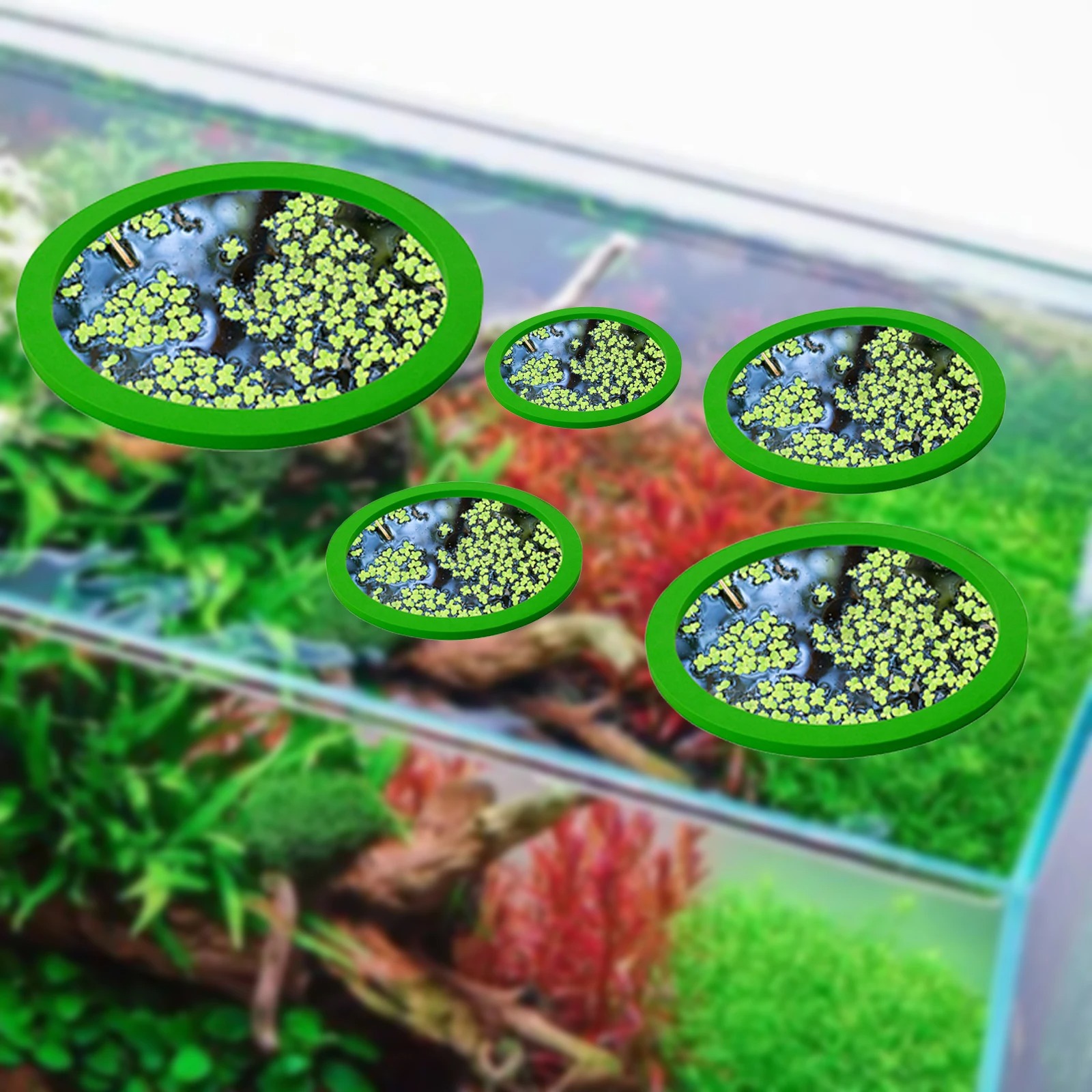 5Pcs EVA Fish Feeding Ring Aqu - Aquarium Fish Photography recensione e prezzo