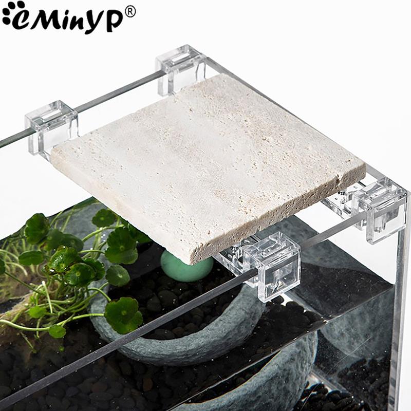 4Pcs Fish Tank Acrylic Clips f - Aquarium Fish Photography recensione e prezzo
