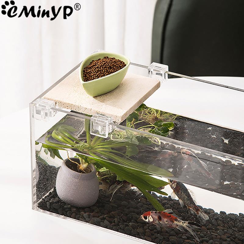 4Pcs Fish Tank Acrylic Clips f - Aquarium Fish Photography recensione e prezzo