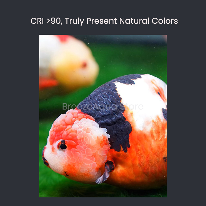 MAYIN Super Colour 100W Freshw - Aquarium Fish Colour recensione e prezzo