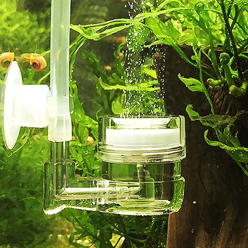 Aquarium 4 in 1 CO2 Diffuser G - Co2 Diffuser Planted recensione e prezzo