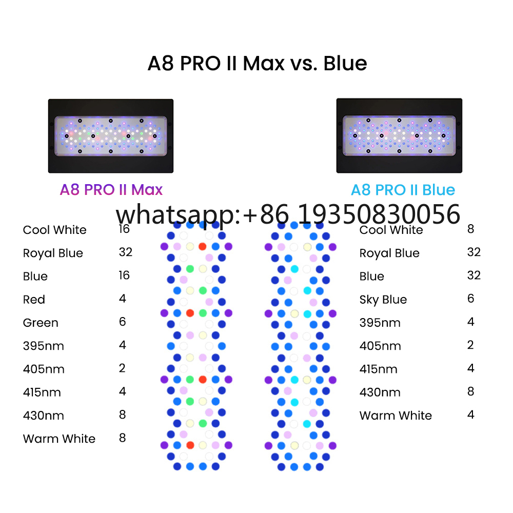 2026-A8 PRO II Max and Blue 24 - Aquarium Fish In recensione e prezzo