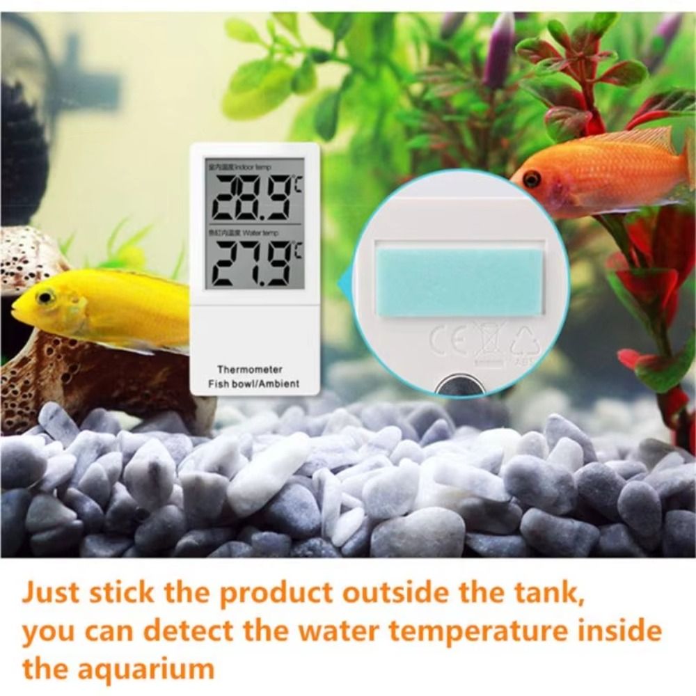 LCD Digital Display Mini Aquar - Aquarium Thermometer recensione e prezzo