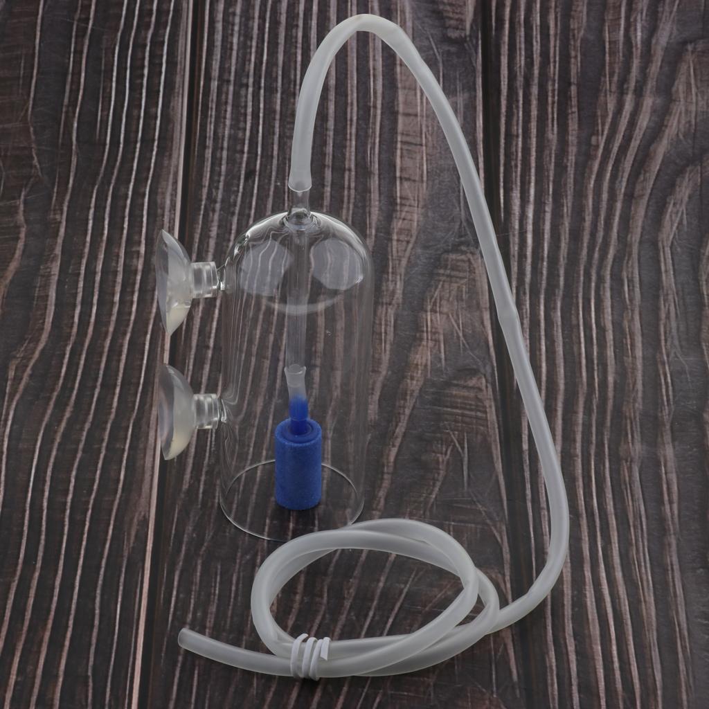 CO2 Diffuser System for Aquari - Co2 Diffuser Planted recensione e prezzo