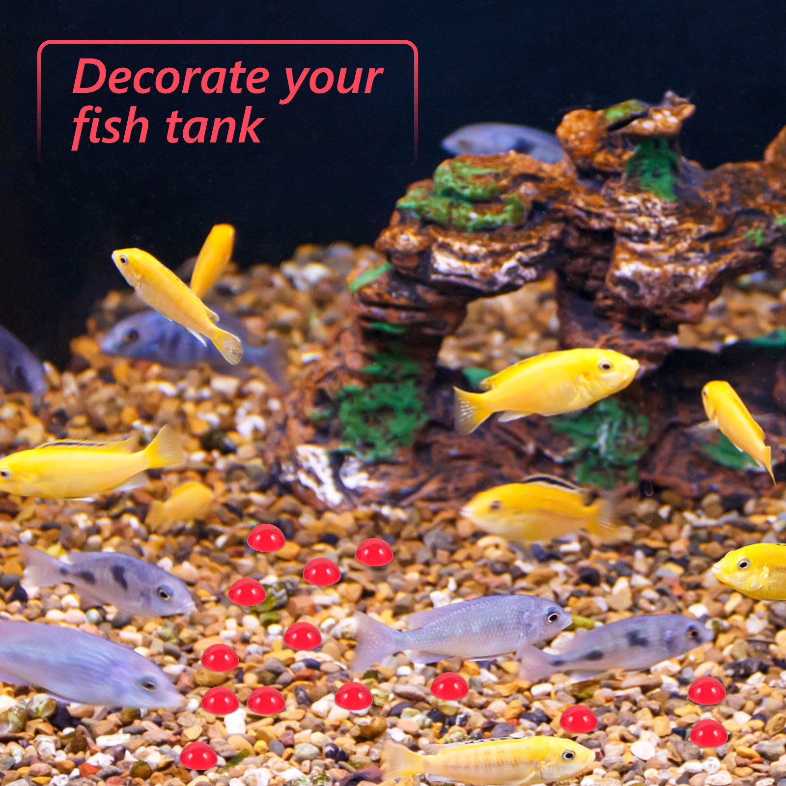 50Pcs Red Flat Bottom Glass Be - Aquarium Fish In recensione e prezzo