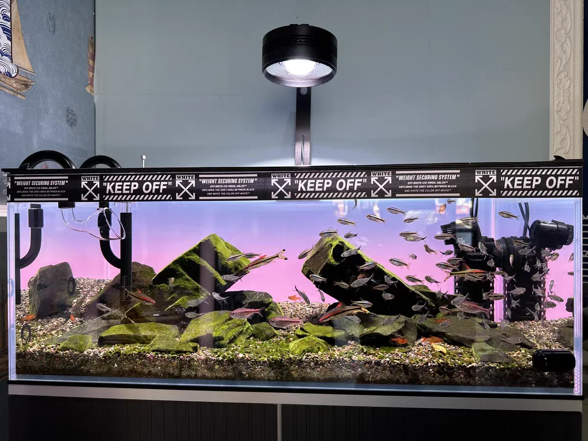 RGB Acrylic Fish Tank Backdrop - Aquarium Fish Colour recensione e prezzo