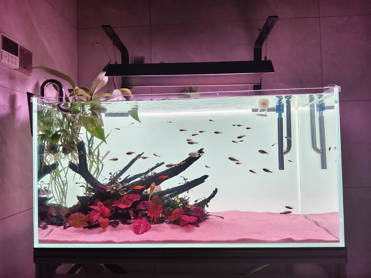 RGB Acrylic Fish Tank Backdrop - Aquarium Fish Colour recensione e prezzo