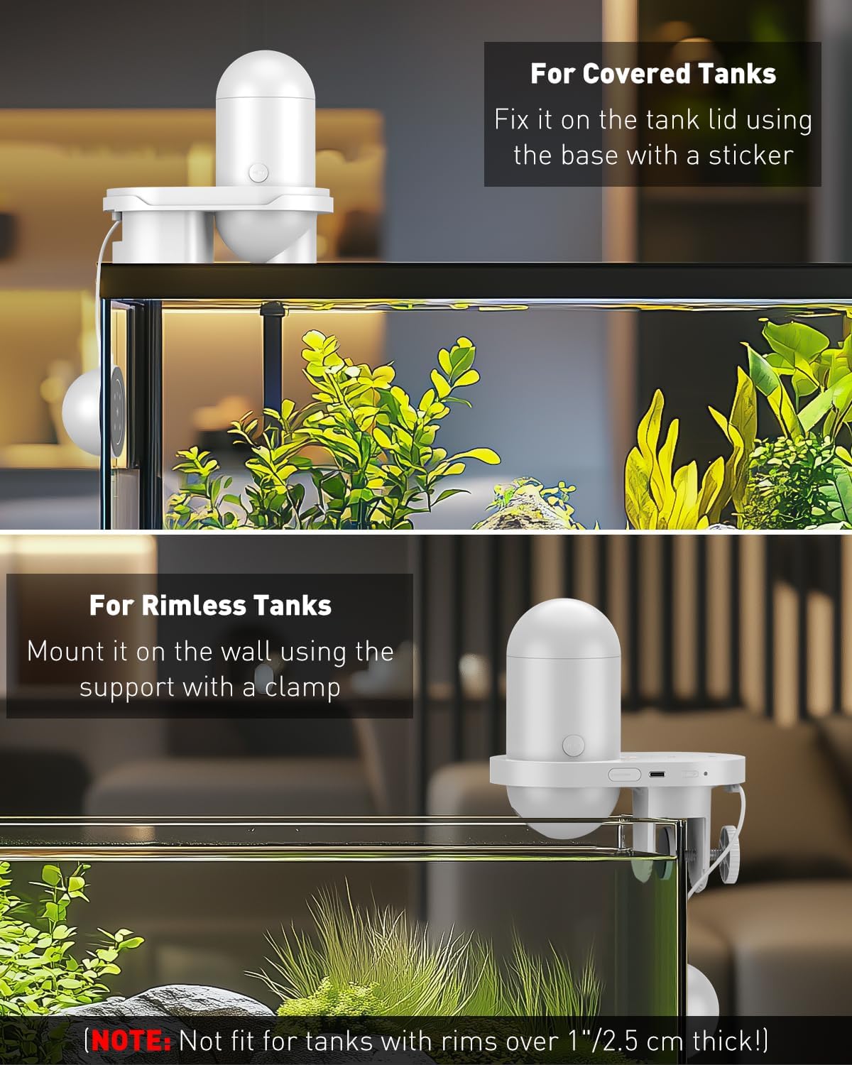 WiFi Automatic Fish Feeder for - Aquarium Fish Video recensione e prezzo