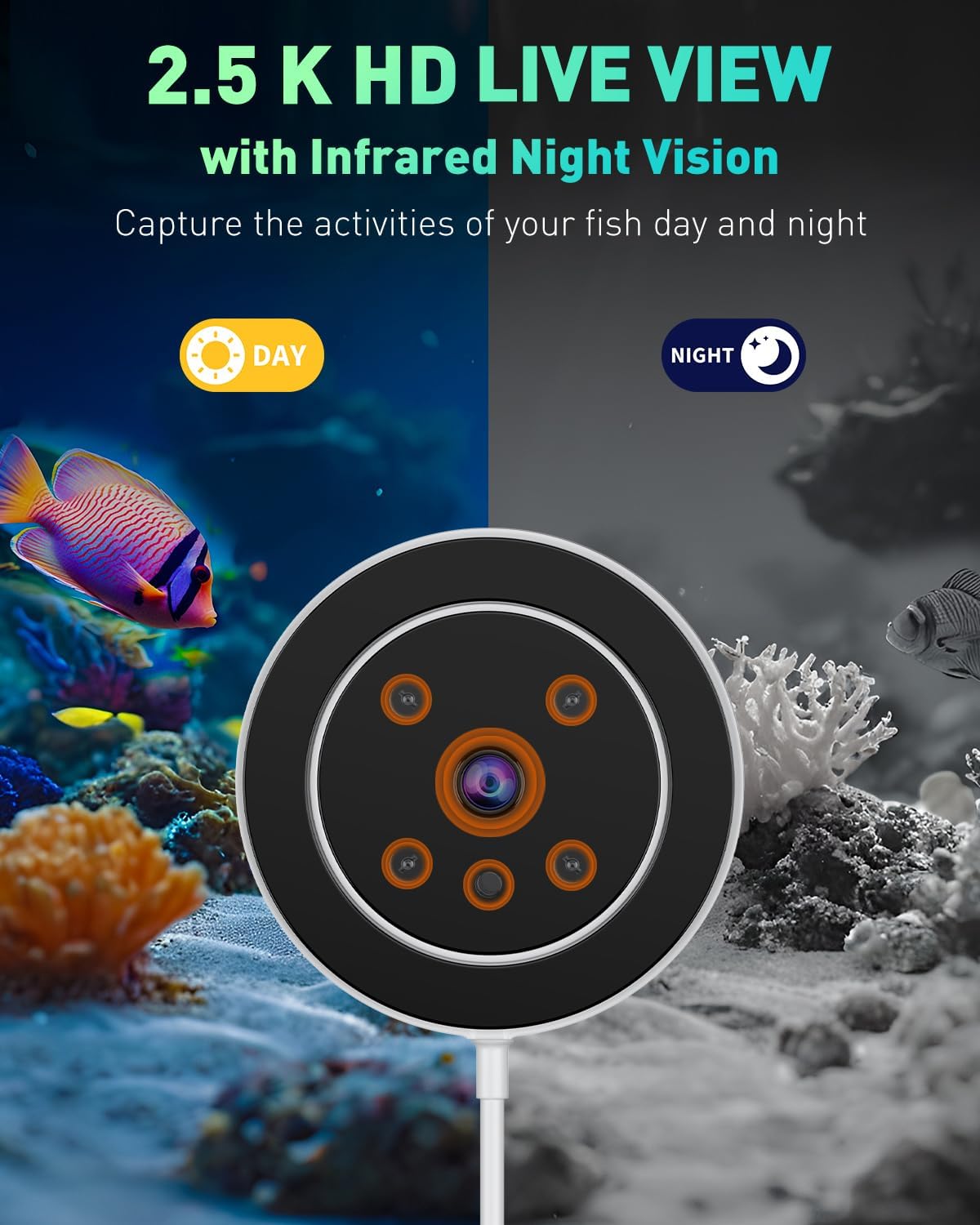 WiFi Automatic Fish Feeder for - Aquarium Fish Video recensione e prezzo