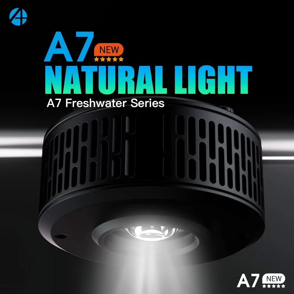 AIPAI A7PE/A7P/A7P-S WiFi Cont - Aquarium Fish Colour recensione e prezzo