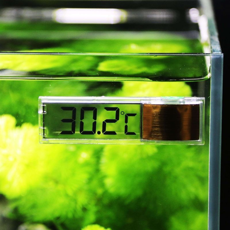 1pc Aquarium Thermometer 3D Di - Aquarium Thermometer recensione e prezzo