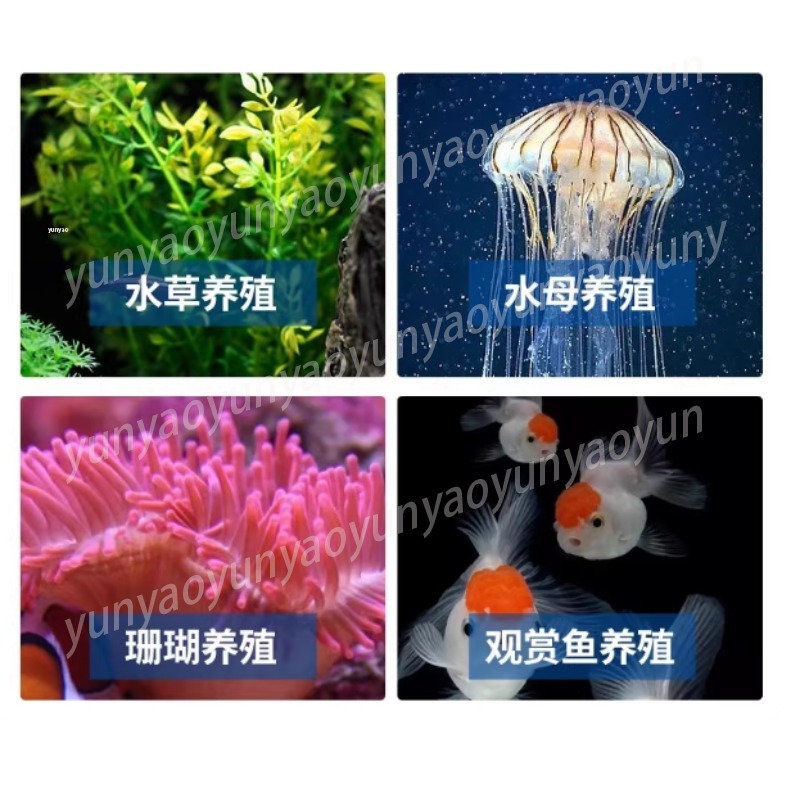Small Aquarium Chiller Compres - Aquarium Fish Freshwater recensione e prezzo