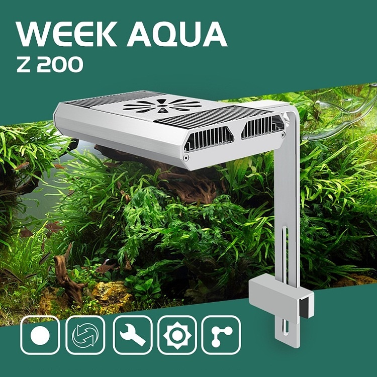 Full Spectrum Fish Tank Light  - Aquarium Fish In recensione e prezzo